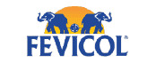 Fevicol