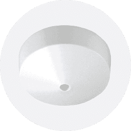 Ceiling Rose