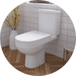 Toilet Bowl