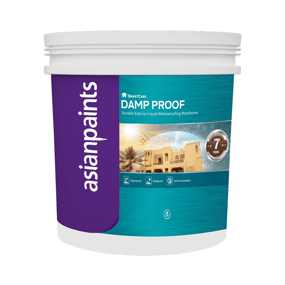 Asian Paints Berger 18L SmartCare Damp Proof